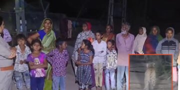 અમરેલી: 4 દિવસમાં 3 હુમલા અને 2 મોત બાદ વનવિભાગ સફાળું જાગ્યું, બગસરામાં દીપડાના આંટાફેરાથી ફફડાટ | …