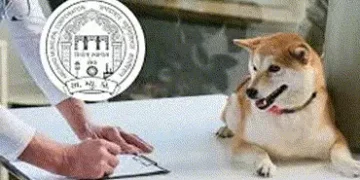 ગાંધીનગરમાં પણ હવે પાલતુ શ્વાનનું રજિસ્ટ્રેશન કરાવવું ફરજિયાત થઈ જશે | Registration of pet dogs will…