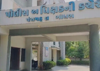 ગોધરા રાજ્યનું પ્રથમ ગૌરક્ષા કેન્દ્ર બન્યું, ગૌવંશની કતલ-હેરાફેરી રોકવા વિશેષ સ્કવૉડની રચના | First …