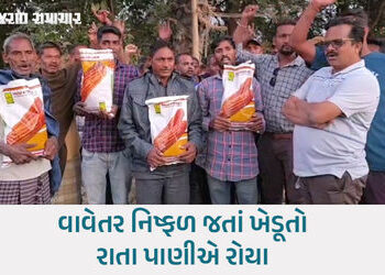 છોટાઉદેપુરમાં ‘ન્યુ ગુજરાત પેટર્ન’ની પોલ ખૂલી! સરકારી કીટમાંથી સડેલી મકાઈ નીકળતાં ખેડૂતોનો હોબાળો | …