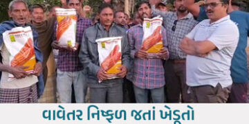 છોટાઉદેપુરમાં ‘ન્યુ ગુજરાત પેટર્ન’ની પોલ ખૂલી! સરકારી કીટમાંથી સડેલી મકાઈ નીકળતાં ખેડૂતોનો હોબાળો | …