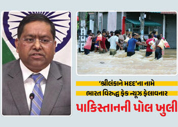 નહીં સુધરે પાકિસ્તાન… ‘શ્રીલંકાને મદદ’ અંગે ગંભીર આક્ષેપ કરતા ભારતે આપ્યો જડબાતોડ જવાબ | India Pak…