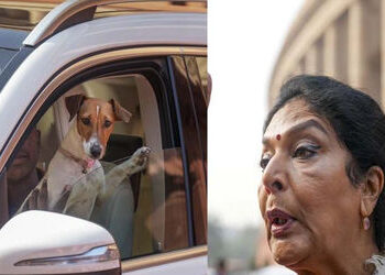સંસદની બહાર પત્રકારના સવાલ પર મહિલા સાંસદ શ્વાનની જેમ ભસવા લાગ્યા, શું હતું કારણ | renuka chowdhury …