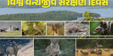ગુજરાતમાં 21 પ્રજાતિઓની અંદાજે 9.53 લાખથી વધુ વસ્તી, છતાં વન્યજીવોની સુરક્ષા સામે અનેક સવાલ | World …