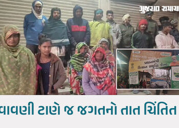 છોટાઉદેપુરમાં ખાતરની અછત: ખેડૂતો કડકડતી ઠંડીમાં રાત્રે 3 વાગ્યાથી લાઈનોમાં ઉભા રહેવા મજબૂર | chhota …