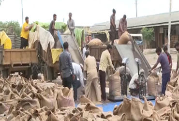 આણંદ જિલ્લામાં ટેકાના ભાવે 467 મેટ્રિક ટન ડાંગરની ખરીદી | 467 metric tons of paddy purchased at supp…