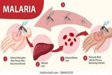 ભારત સહિત વિશ્વમાં મેલેરિયાને નાથવામાં ડ્રગ રેઝીસ્ટન્ટનો પડકાર | Drug resistance is a challenge in c…
