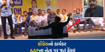 ‘વસવસો રહી ગયો હતો..’, ગોપાલ ઈટાલિયા પર જૂતું ફેંકનારે હુમલો કરવાનું કારણ જણાવ્યું | Gopal Italia Sh…