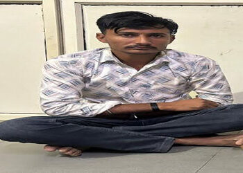 પીકઅપ વાનમાંથી રૃ.7.68 લાખનો દારૃ ઝડપાયો | Liquor worth Rs 7 68 lakh seized from pickup van