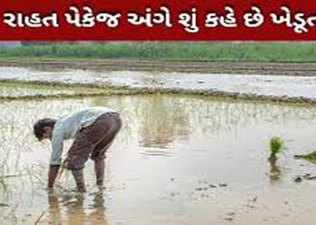 સૌરાષ્ટ્ર-કચ્છમાં 16.71 લાખ ખેડૂતોની નોંધણી, અનેક અરજીમાં ક્ષતિ-ગોટાળા | farmers registered in Saura…