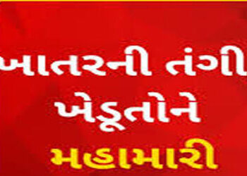 માંગરોળમાં ખાતર માટે સવારથી સાંજ કતારમાં હેરાન થતા ખેડૂતો | Farmers in Mangrol are facing hardships …