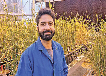 હાઇબ્રિડ ક્રોપ્સમાં જબરદસ્ત સિદ્ધિ બદલ ભારતીય વૈજ્ઞાનિક સન્માનિત