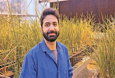 હાઇબ્રિડ ક્રોપ્સમાં જબરદસ્ત સિદ્ધિ બદલ ભારતીય વૈજ્ઞાનિક સન્માનિત | Indian scientist honored for grou…