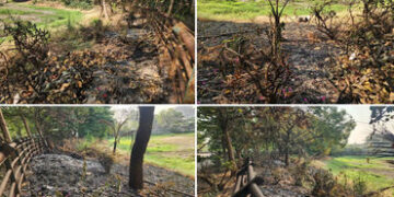 સુપ્રીમ કોર્ટના આદેશનો ઉલાળીયો : સુરત પાલિકાના પાલનપોર લેક ગાર્ડનમાં સળગાવાયો કચરો | Supreme Court o…