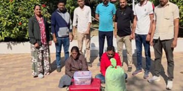 ધોળકામાં 5 લાખના ગાંજો ઝડપાયો, ઓરિસ્સાની મહિલા સહિત 2ની ધરપકડ | Marijuana worth Rs 5 lakh seized in …