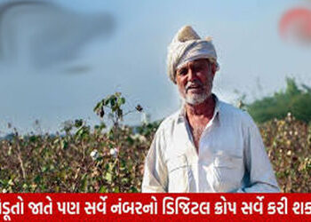 સર્વે નંબરોના આધારે ખેડૂતોના રવિ પાકની વિગતો એકત્ર કરવામાં આવશે | Ravi crop details of farmers will …