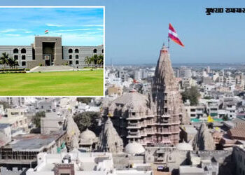 દેવભૂમિ દ્વારકામાં બે હજાર રખડતાં ઢોરનો ત્રાસ, હાઈકોર્ટે ન.પા. ચીફ ઓફિસર પાસે જવાબ માંગ્યો | HC Ques…