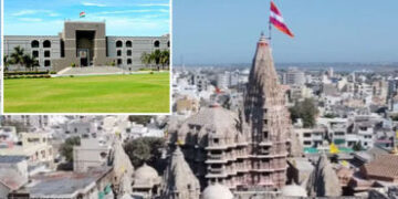 દેવભૂમિ દ્વારકામાં બે હજાર રખડતાં ઢોરનો ત્રાસ, હાઈકોર્ટે ન.પા. ચીફ ઓફિસર પાસે જવાબ માંગ્યો | HC Ques…