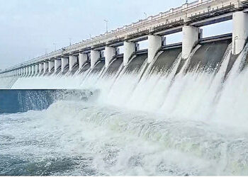 છેલ્લા 3 વર્ષમાં શેત્રુંજી બન્ને કાંઠાની કેનાલ વાટે સરેરાશ 31750 હેક્ટરમાં પીયત થયું | An average of…