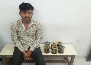 કેલિયાવાસણા ગામે ચાઇનીઝ દોરીની 6 રીલ પકડાઇ | 6 reels of Chinese rope seized in Keliyavasana village