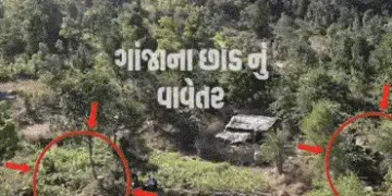 VIDEO: સાબરકાંઠાના લાખિયા ગામે રૂ.1.13 કરોડના લીલા ગાંજાનું વાવેતર ઝડપાયું, ડ્રોન સર્વેલન્સમાં થયો પ…