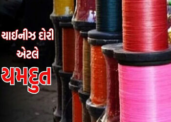 અડાસ અને પેટલાદમાં ચાઇનીઝ દોરીના 255 ફિરકા સાથે બે પકડાયા | Two arrested with 255 strands of Chinese…