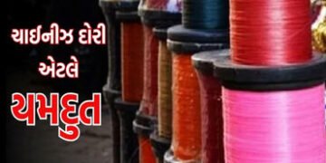અડાસ અને પેટલાદમાં ચાઇનીઝ દોરીના 255 ફિરકા સાથે બે પકડાયા | Two arrested with 255 strands of Chinese…