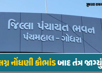 પંચમહાલ: એક જ જગ્યાએ અડિંગો જમાવીને બેઠેલા 29 તલાટીઓની બદલી, કથિત લગ્ન નોંધણી કૌભાંડ બાદ એક્શન | Pan…
