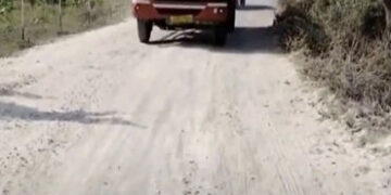 ધંધુકાની બજારના ધૂળીયા માર્ગથી અવર-જવરમાં ભારે મુશ્કેલી