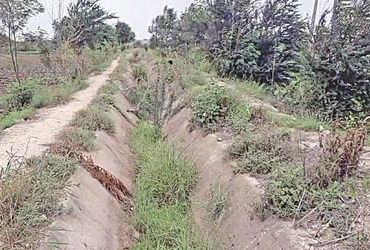 ધ્રાંગધ્રા પંથકમાં અનેક જગ્યાએ માઇનોર કેનાલનું કામ અધુરૂ | Minor canal work incomplete in many place…