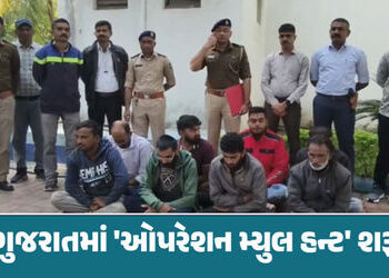 મ્યુલ એકાઉન્ટથી સાયબર ફ્રોડના તાર જૂનાગઢ સુધી પહોંચ્યા, કરોડોના ટ્રાન્ઝેક્શન કરનારા 8ની ધરપકડ | Juna…