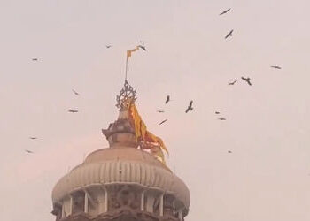 VIDEO: જગન્નાથ મંદિરના શિખર પર ઉડતા જોવા મળ્યા ગરુડ, કોઈ અશુભ ઘટનાનો સંકેત? | Jagannath Temple Birds…