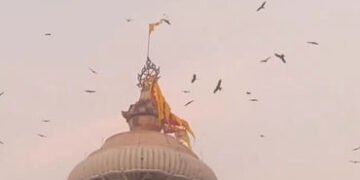 VIDEO: જગન્નાથ મંદિરના શિખર પર ઉડતા જોવા મળ્યા ગરુડ, કોઈ અશુભ ઘટનાનો સંકેત? | Jagannath Temple Birds…