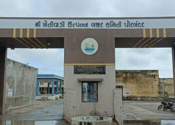 ભરશિયાળે ગુજરાતમાં કેસર કેરીનું આગમન! 10 કિલોના બોક્સની રેકોર્ડબ્રેક ભાવે હરાજી | Kesar Mango Arrive…