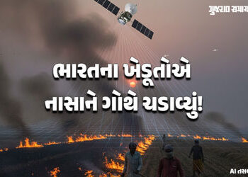 ભારતના ખેડૂતોએ પરાલી સળગાવવા નાસાના સેટેલાઈટથી બચવાનો જુગાડ શોધી કાઢ્યો, અભ્યાસમાં ખુલાસો | Nasa big…