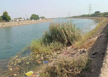 કેનાલમાં ગંદકી અને લીલનું સામ્રાજ્ય – 2 લાખ લોકોના આરોગ્ય સામે ખતરો | kingdom of dirt and silt in th…
