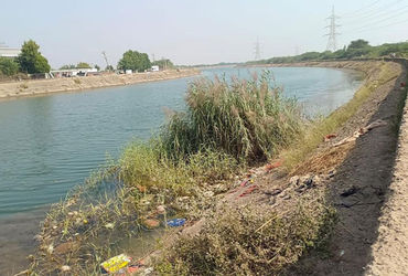 કેનાલમાં ગંદકી અને લીલનું સામ્રાજ્ય – 2 લાખ લોકોના આરોગ્ય સામે ખતરો | kingdom of dirt and silt in th…