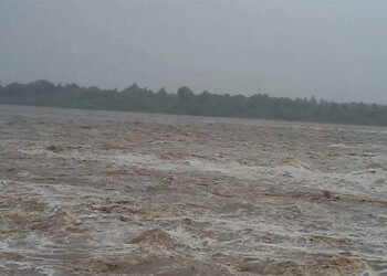 વાસદ પાસે મહીસાગર નદીમાં પ્રેમીપંખીડાએ ઝંપલાવતા બચાવી લેવાયા | Lovebirds rescued after jumping into …