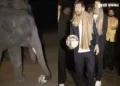 VIDEO: મેસ્સી વનતારામાં હાથીના બચ્ચા ‘માણેકલાલ’ સાથે ફૂટબોલ રમ્યો, વર્લ્ડ સ્ટાર ફૂટબોલર માટે બની યાદ…