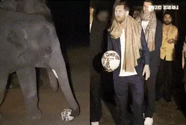 VIDEO: મેસ્સી વનતારામાં હાથીના બચ્ચા ‘માણેકલાલ’ સાથે ફૂટબોલ રમ્યો, વર્લ્ડ સ્ટાર ફૂટબોલર માટે બની યાદ…
