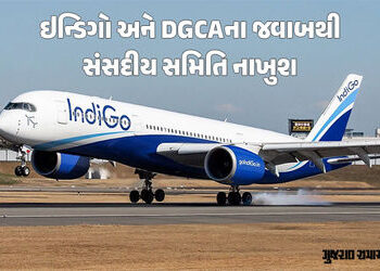 IndiGo અને DGCAની કાઢી ઝાટકણી, જવાબથી સંસદીય સમિતિ સંતુષ્ટ નહીં, 15 દિવસ બાદ ફરી બેઠક | IndiGo Fligh…