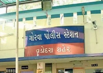 વડોદરામાં પ્રતિબંધિત ગોગો સ્મોકિંગ કોન તથા રોલિંગ પેપર વેચતા ત્રણ વેપારી ઝડપાયા | Three traders caug…