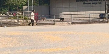 કોમનવેલ્થ-૨૦૩૦ના યજમાન અમદાવાદના શાહપુર સ્પોર્ટસ કોમ્પલેકસનો કબૂતરોને દાણાં ખવડાવા થતો ઉપયોગ | Ahmed…