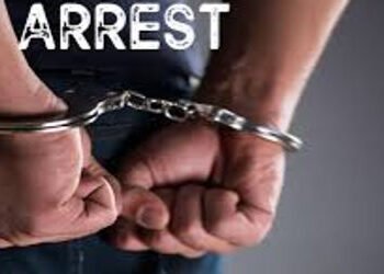 સેવાસી નજીક વાનની રેસ લગાવતા બે ઝડપાયા | Two arrested for racing van near Sevasi