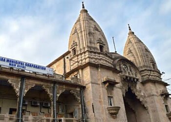 સમામાં આવેલા ગુમનામ’ બગીચાનું નામકરણ ક્યારે? : શાસક પક્ષમાં જૂથબંધીના કારણે વિધિ અટક્યાના આક્ષેપો | …