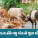 ભાવનગરમાં રખડતા ઢોરના કારણે 21 વર્ષના જૂવાનધોધ દીકરાનું કરૂણ મોત, તંત્રને એક જ સવાલ આખરે ક્યાં સુધી….