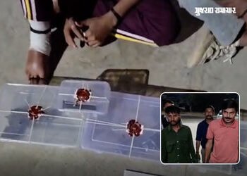 સાબરકાંઠા: રાજસ્થાનથી હથિયારો ઘુસાડવાનું ષડયંત્ર નિષ્ફળ, ખેડવા ચેકપોસ્ટ પરથી 3 પિસ્તોલ સાથે બે શખસ ઝ…