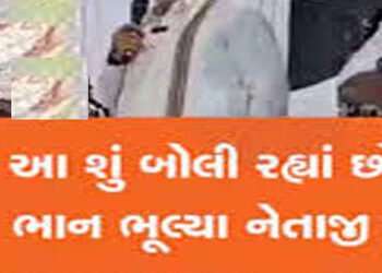 ‘ગામડાંના વિકાસની નેમ છે, શહેરનો વિકાસ મારાથી જોવાતો નથી’: લાડાણી | ‘I have a vision for the develop…