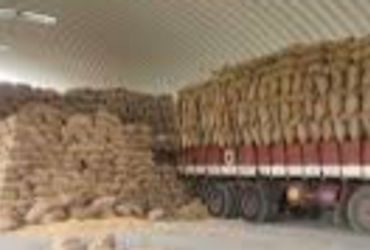 પાદરા સરકારી અનાજના ગોડાઉનમાંથી અનાજનો જથ્થો વગે કરવાનું કૌભાંડ | Scam of diverting grain from gover…