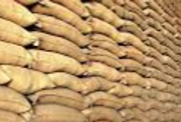 પોલીસની કાર્યવાહી બાદ પુરવઠાખાતું જાગ્યું પાદરા ખાતેના સરકારી અનાજના ગોડાઉનમાં પુરવઠા ખાતાનો દરોડો |…